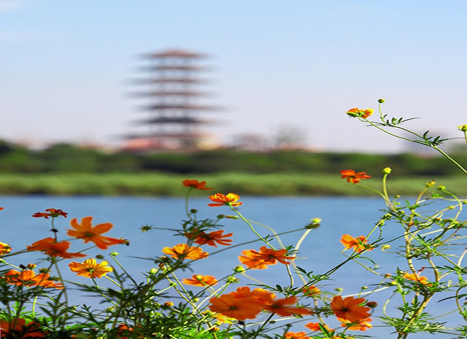 （入选）夏日（许海斌）.jpg